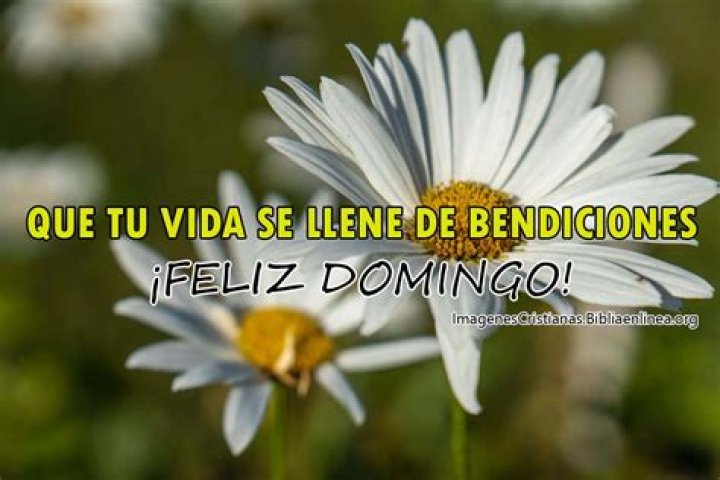 100+ Im&aacute;genes Cristianas FELIZ DOMINGO Bonitas ️