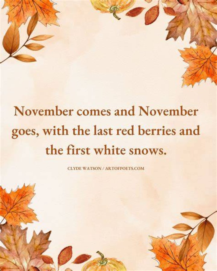 24 November Quotes That Will Make You Thankful for Fall November