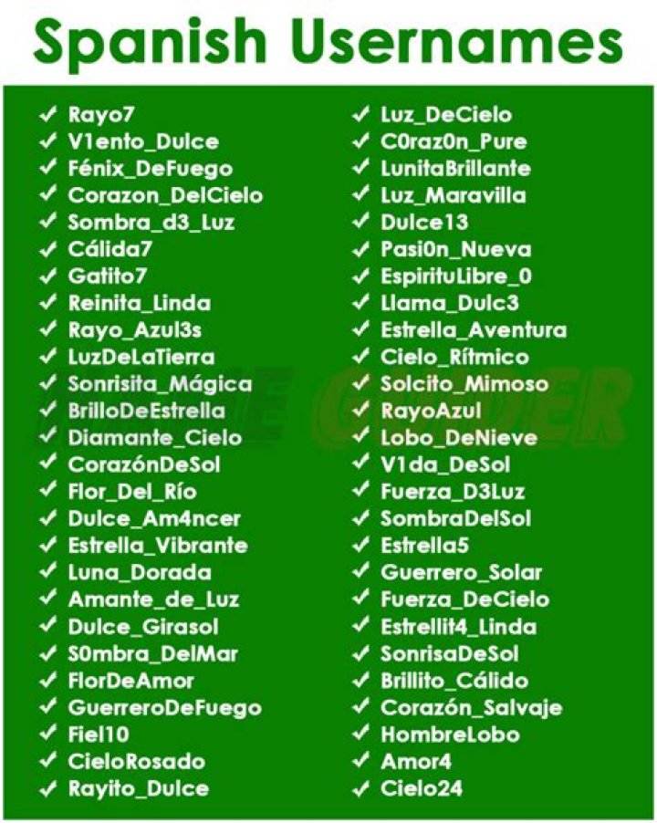 400+ Cool Spanish Usernames With Generator BrandBoy