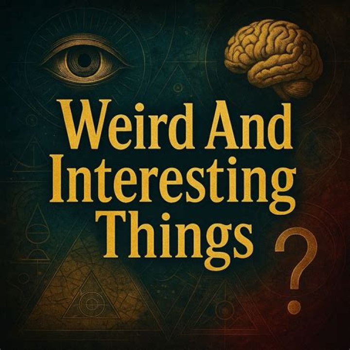 7 Things In The Weird Al Movie That Are Actually True