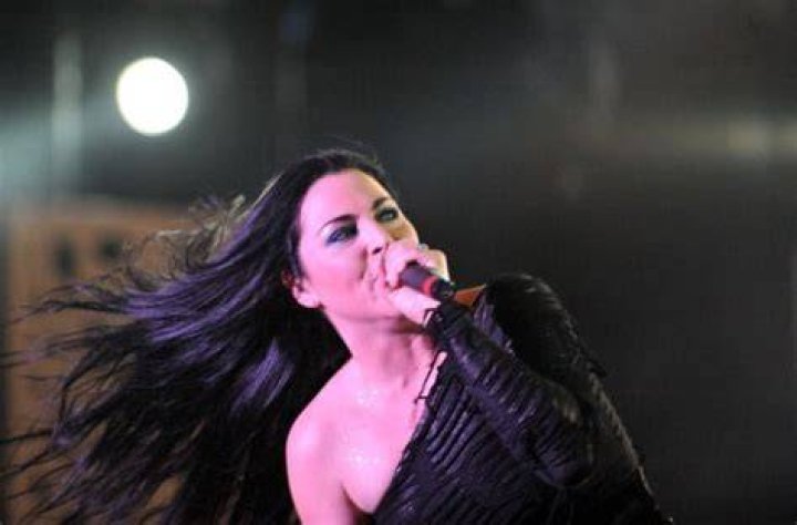 Amy Lee Net Worth &bull; Net Worth List