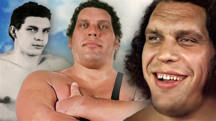 Andre the Giant 16 Tales Told By His Friends
