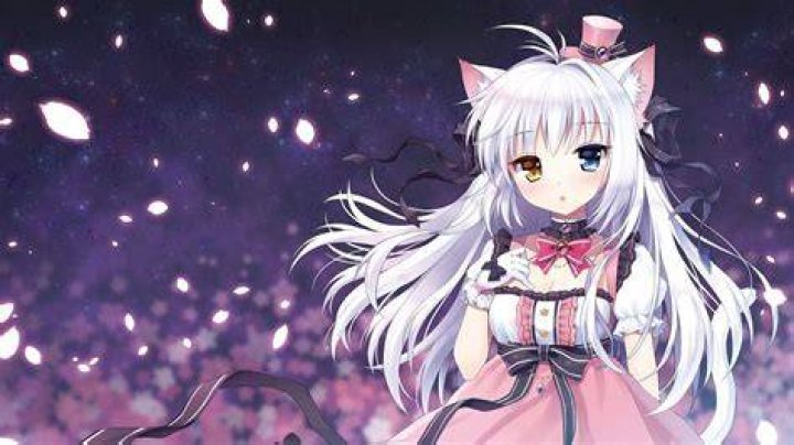 Anime Neko Wallpapers Wallpaper Cave
