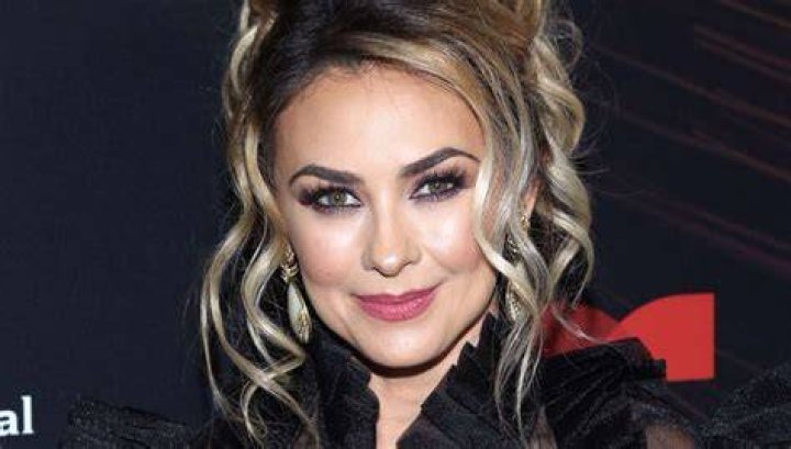 Aracely Ar&aacute;mbula, actriz de Telemundo, dej&oacute; ver su bodysuit de encaje