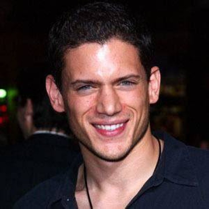 Arriba 93+ imagen wentworth miller ethnic background Thcshoanghoatham