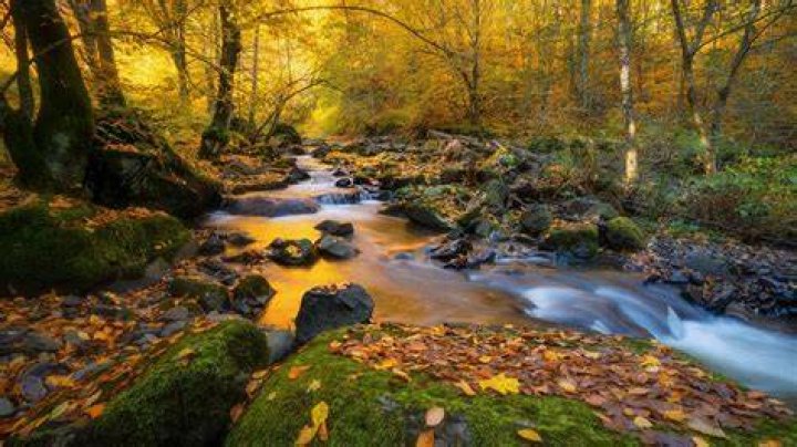 Background For Streams Nature Landscapes Widewallpaper Waterfall