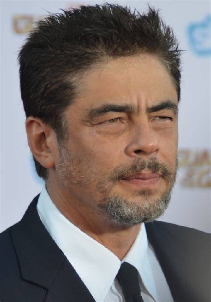 Benicio Del Toro Hollywood, People, Eye candy