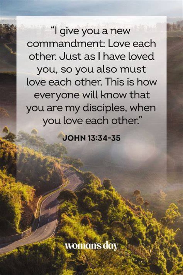 Bible Verses about Loving your Enemies &mdash; Bible Lyfe