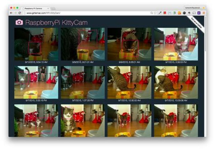 Camkittys Website