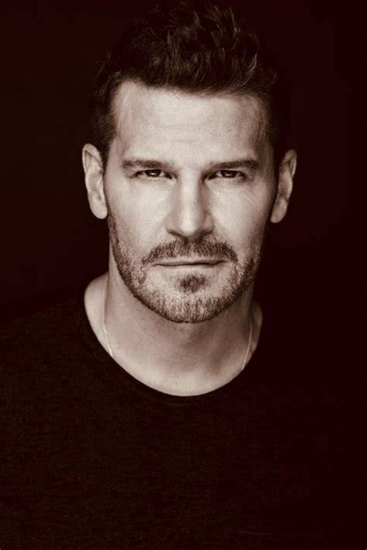 David Boreanaz on 'SEAL Team' 'There's This Brotherhood Aspect I Was