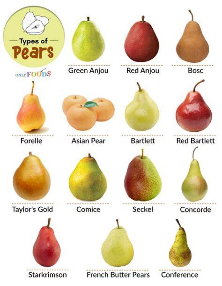 Different Types of Pears Pear Varieties & Tastes Suja Organic