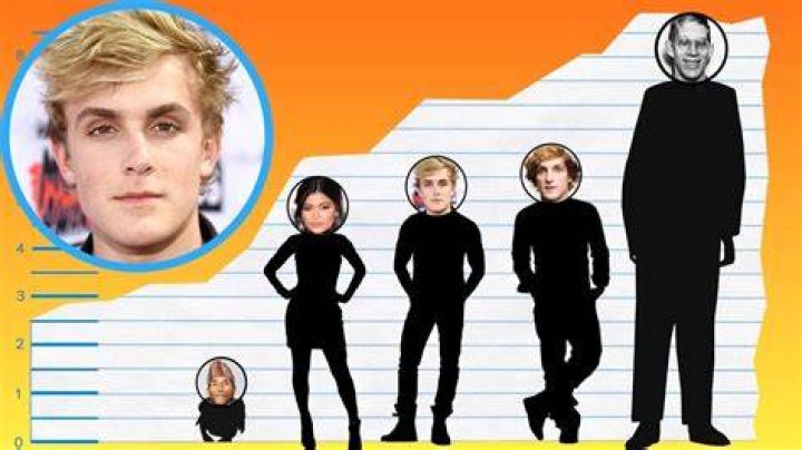 Discover the Jake Paul Height and Weight Ideas Plus More