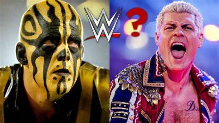 Dustin Rhodes reacts to the idea of returning to WWE and reuniting with