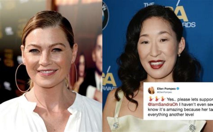 Ellen Pompeo Supports Sandra Oh's New Show On Twitter & Their 'Grey's