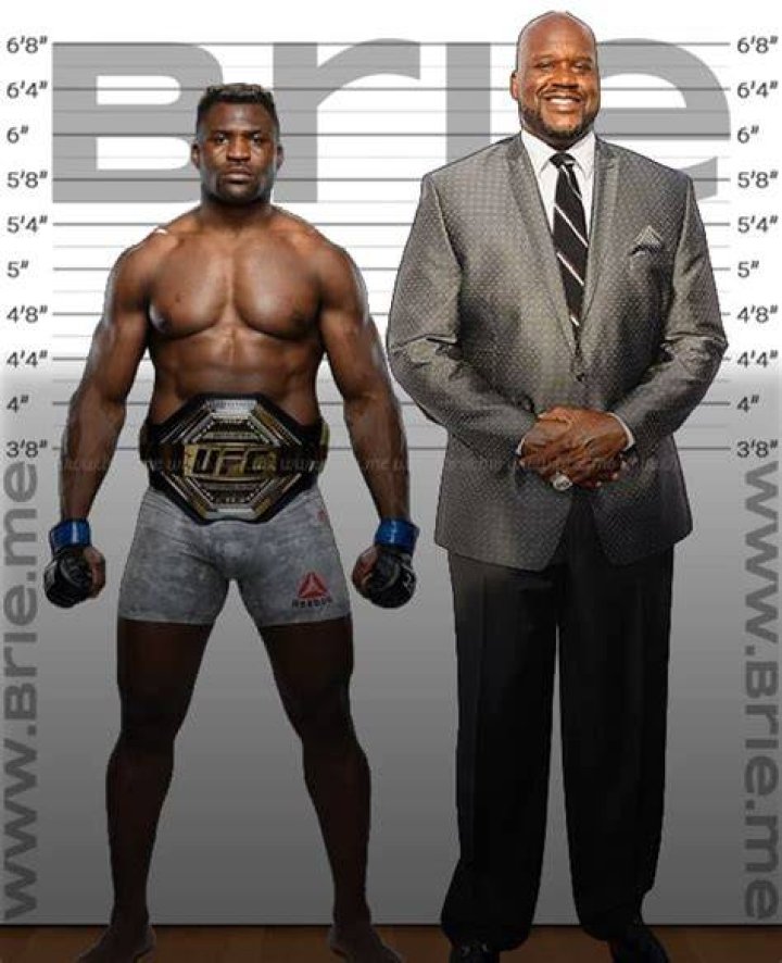 Francis Ngannou Height Brie