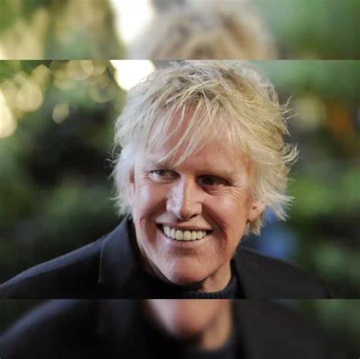 Gary Busey Allegedly Involved in HitandRun Accident