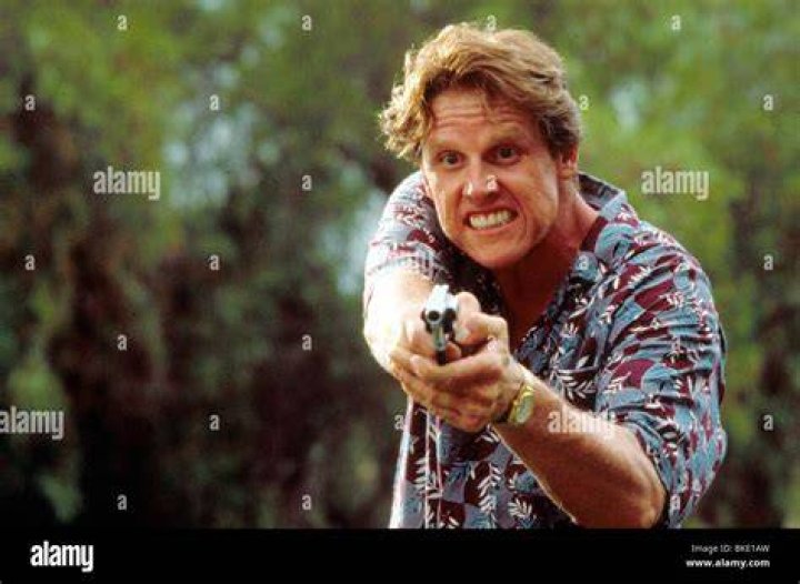 Gary Busey Point Break star charged with sex offences at horror film
