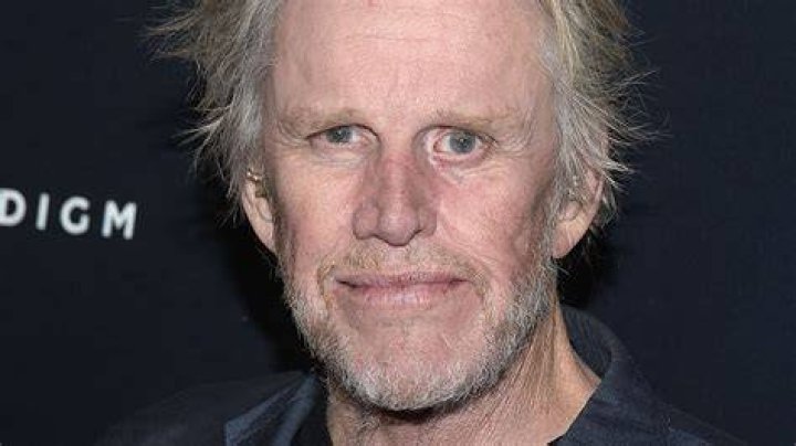 Gary Busey's partner claims the pair have been lovers in 32 previous