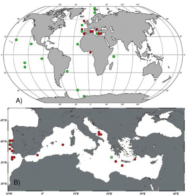 Geographic distribution of the genus Diaphanosoma s.s. (heptagroup