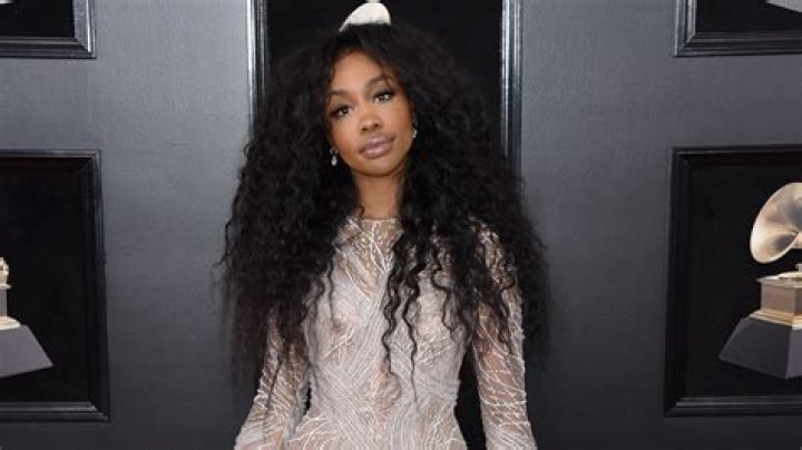 Grammys 2018 SZA snubbed for five awards Business Insider