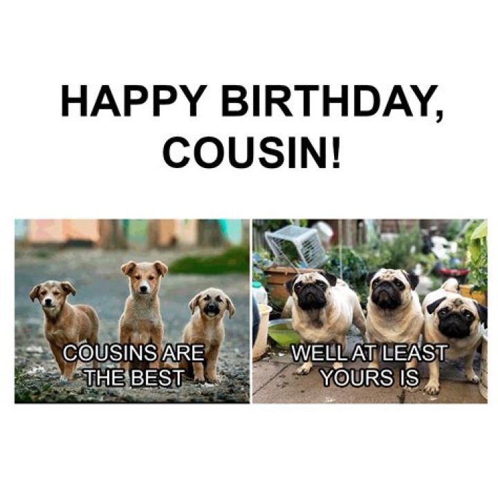 Happy Birthday Cousin Funny Female EdieChristiana