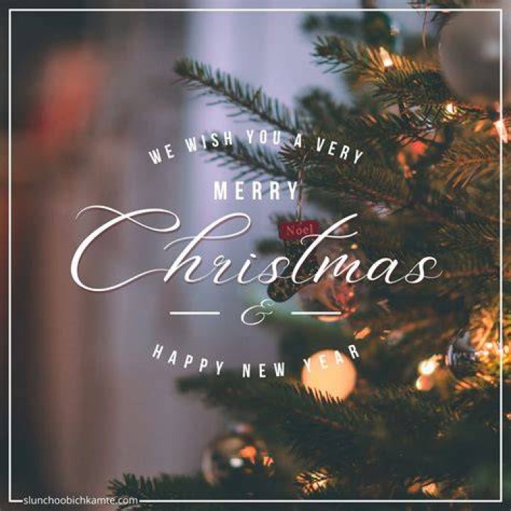 Happy Christmas to a very deserving bunch Singletrack World Magazine