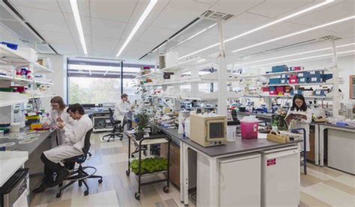 How an &Eacute;lite University Research Center Concealed Its Relationship with