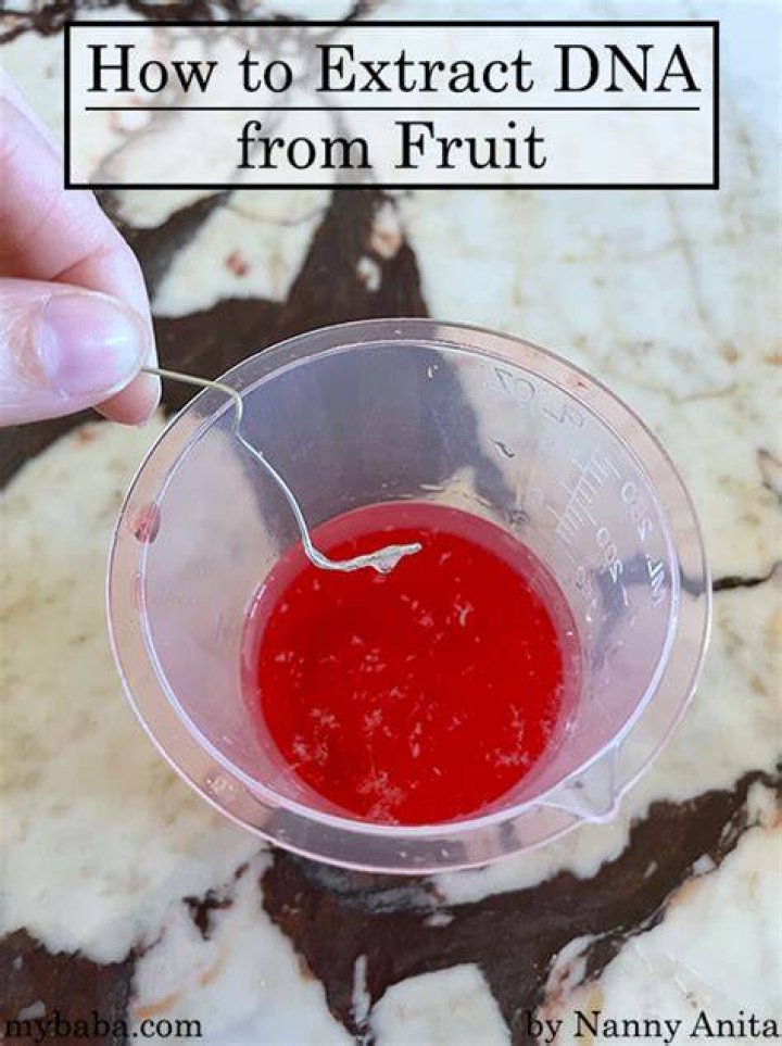 How do you extract DNA from fruit?