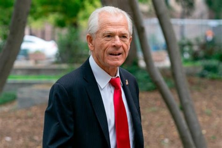 How Much Is Peter Navarro's Net Worth? OtakuKart