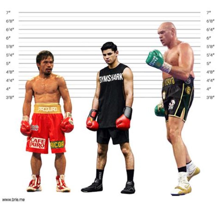 How Tall is Ryan Garcia? Ryan Garcia's Height How Tall Height