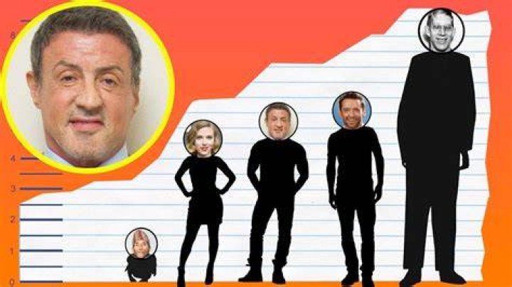 How tall Is Sylvester Stallone? How Much Money Does Sylvester Stallone
