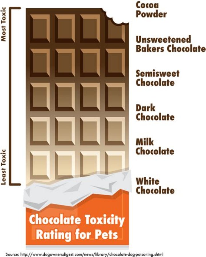 Is chocolate poisonous to dogs?