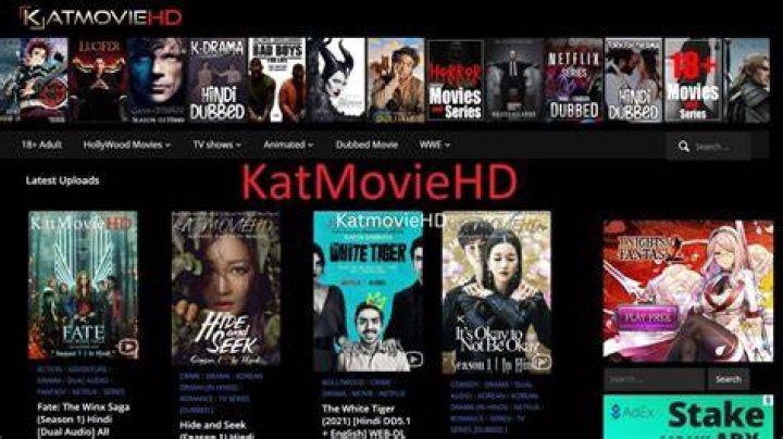 KatmovieHD 2023 Bollywood Movies, Korean Dramas Download Sarkari Job Here