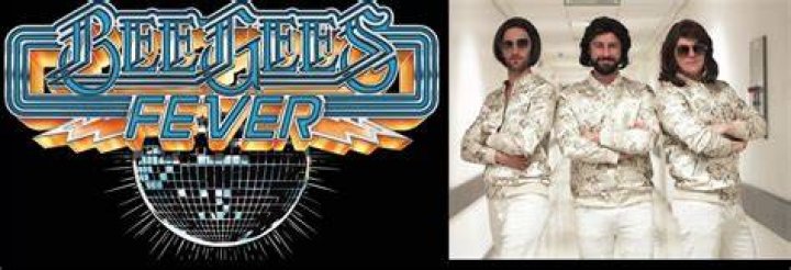 Knight fever Bee Gees star Sir Barry Gibb at palace