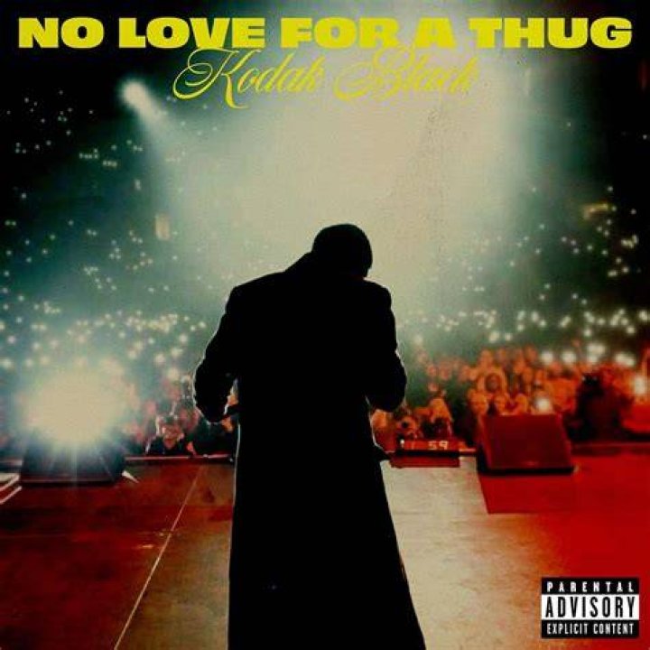 Kodak Black No Love For A Thug Download Mp3