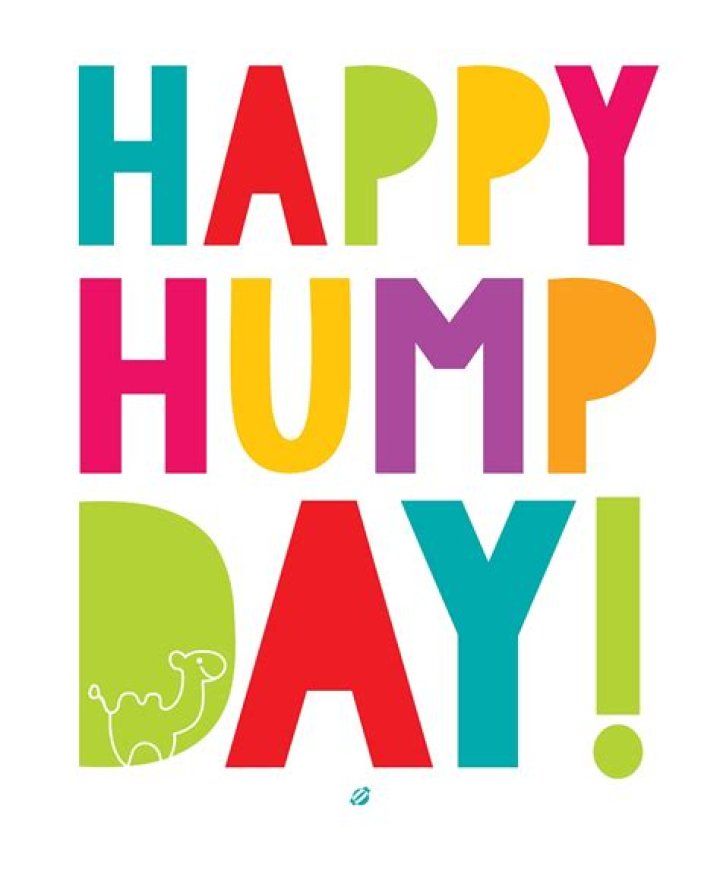 LostBumblebee Happy Hump DAY!