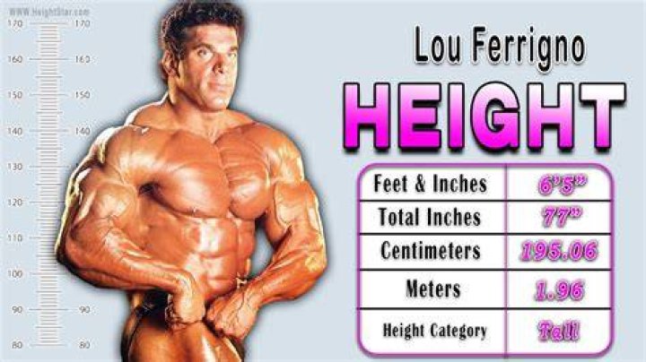 Lou Ferrigno Height 7 Shocking Facts About The Incredible Hulk's Stature!