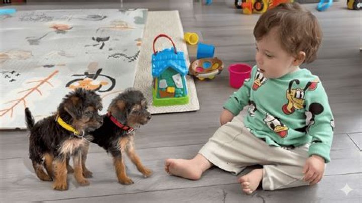 Meet the adorable family of All of Me hitmaker, John Legend