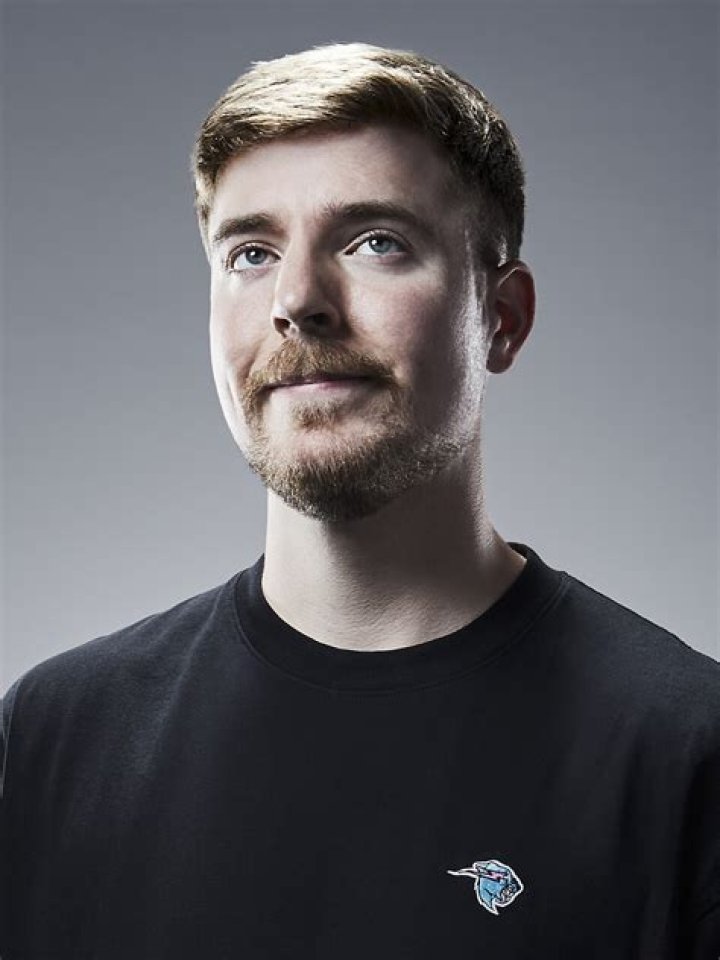 MrBeast Wikipedia