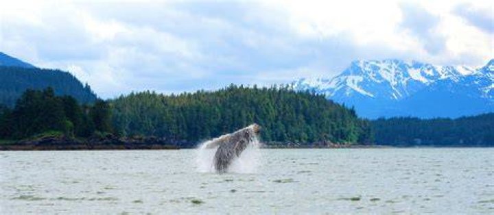 National Geographic finds new Alaska Native cast member for 'Life Below