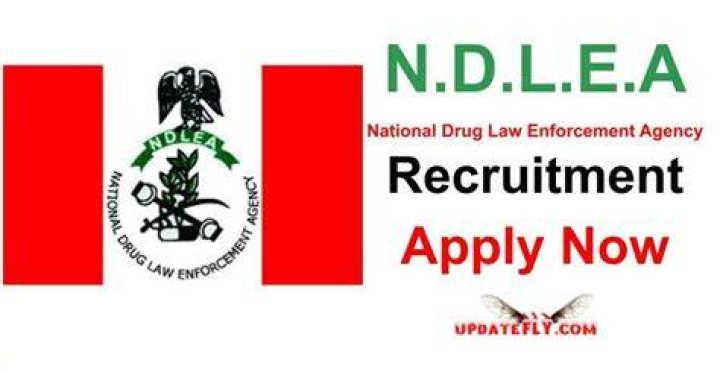NDLEA Recruitment 2023 Application Portal 