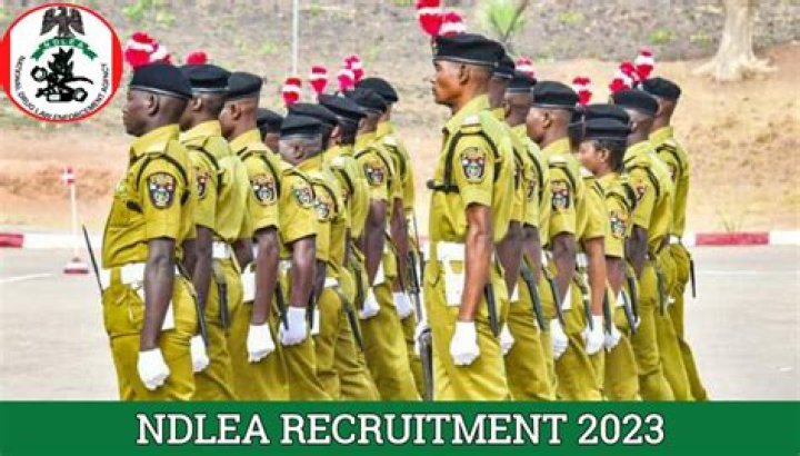 NDLEA Recruitment Portal 2023 Empowerments Hub