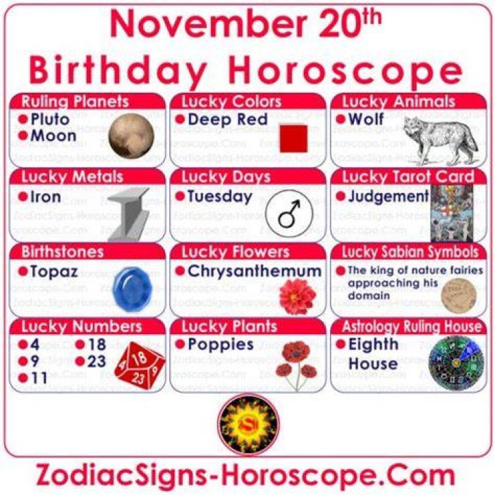 November 20 Birthday Horoscope Personality November 20 zodiac