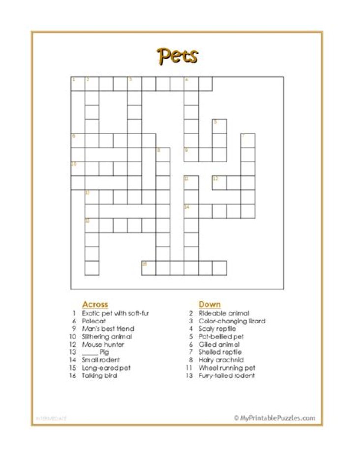 Pets Crossword