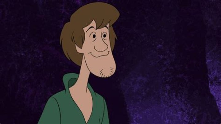 Shaggy ScoobyDoo Wallpaper (38561863) Fanpop