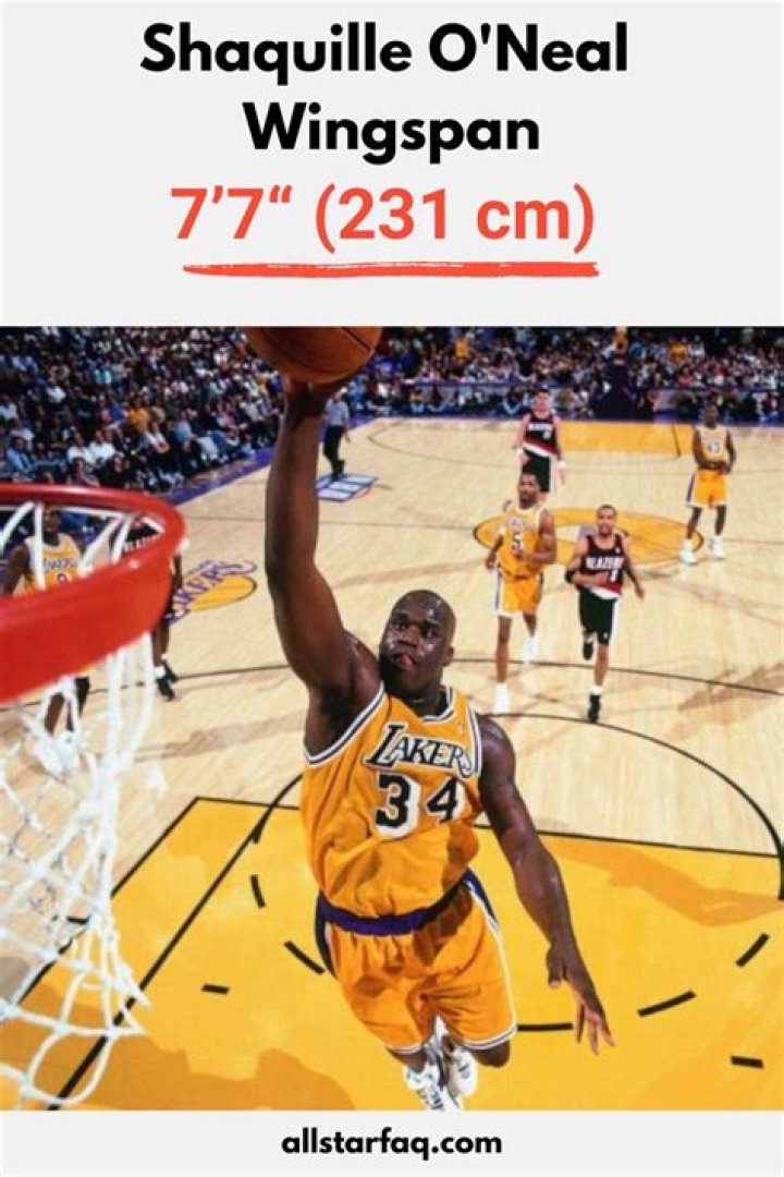 Shaq Wingspan Will Change Sports
