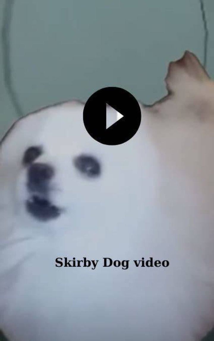 Skirby Dog Video Leaked On Twitter (Leaked Video)