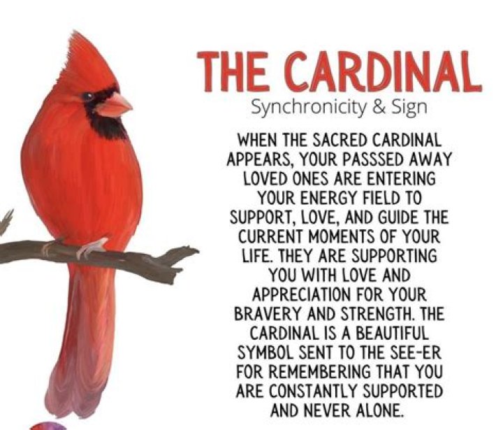 spiritual meaning of a cardinal sighting