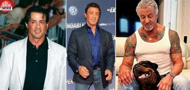 Sylvester Stallone Net Worth & Bio/Wiki 2018 Facts Which You Must To Know!
