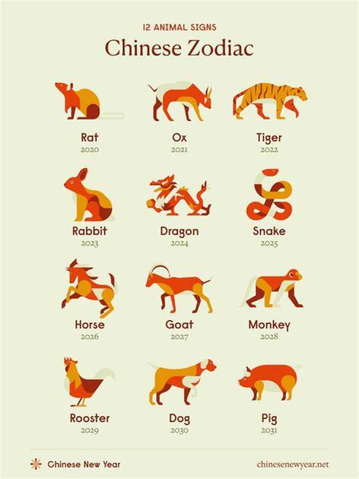 The 12 Chinese Zodiac Signs Explained 2024 Reader's Digest